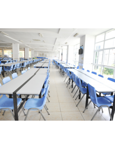 SCAR CHLORASEPTYL : désinfectant alcalin-chloré