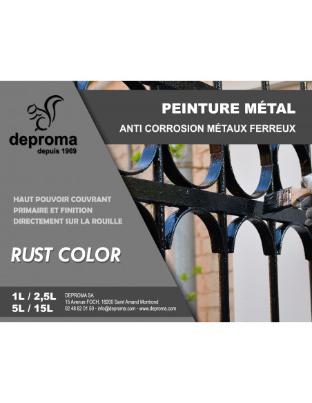 RUST COLOR : Peinture métal anticorrosion - Qualité professionnelle