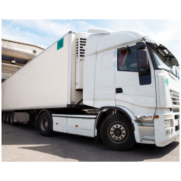 RENOSCAR : shampoing détergent carrosserie