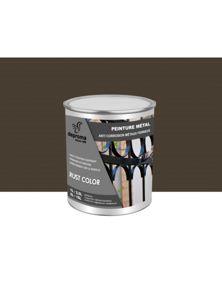 RUST COLOR : Peinture métal anticorrosion - Qualité professionnelle