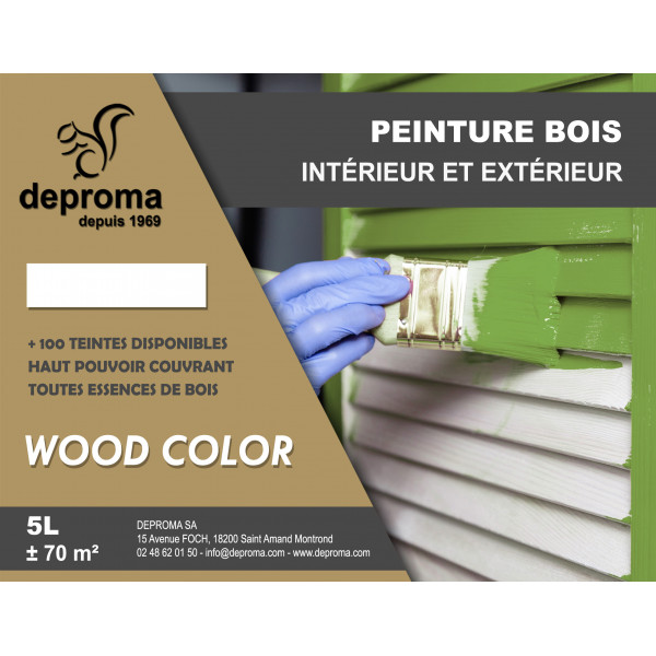 WOOD COLOR : Peinture bois intérieur et...