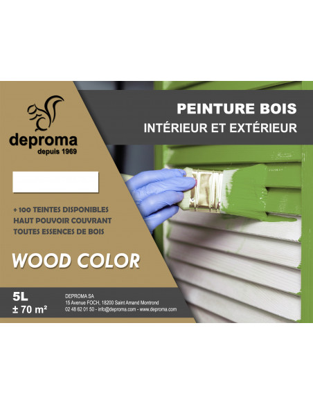 WOOD COLOR : Peinture bois intérieur et extérieur - Qualité professionnelle