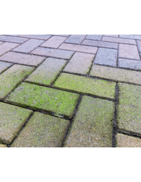 DEPRO ANTI VERDISSURE : anti depôts verts destructeur des lichens