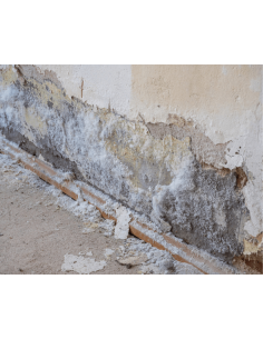 DEPRO® SALPETRAL : détruit et supprime le salpêtre en...