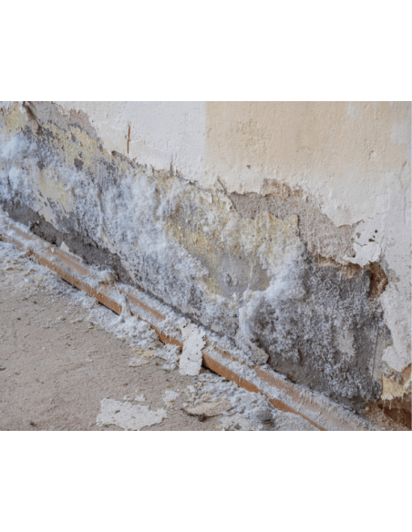 DEPRO® SALPETRAL : détruit et supprime le salpêtre en profondeur