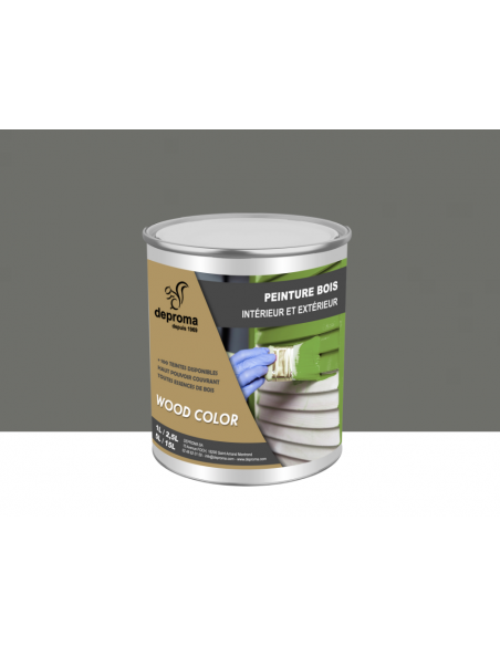WOOD COLOR : Peinture bois intérieur et extérieur - Qualité professionnelle