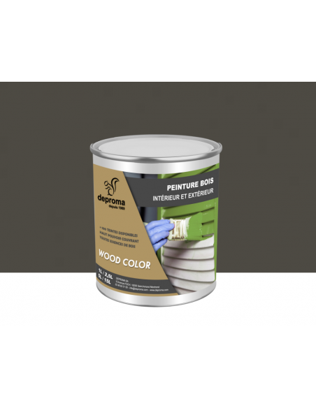 WOOD COLOR : Peinture bois intérieur et extérieur - Qualité professionnelle