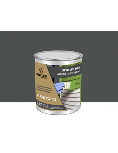 WOOD COLOR : Peinture bois intérieur et extérieur - Qualité professionnelle