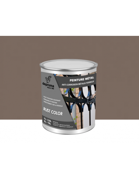RUST COLOR : Peinture métal anticorrosion - Qualité professionnelle