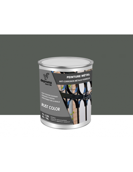 RUST COLOR : Peinture métal anticorrosion - Qualité professionnelle