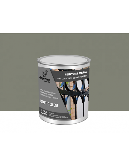 RUST COLOR : Peinture métal anticorrosion - Qualité professionnelle