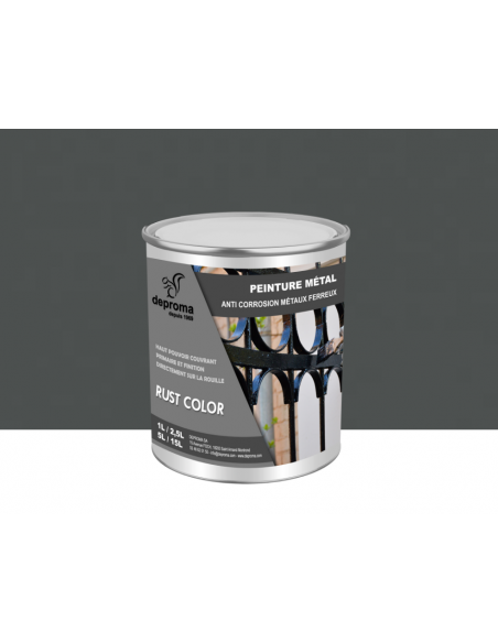 RUST COLOR : Peinture métal anticorrosion - Qualité professionnelle
