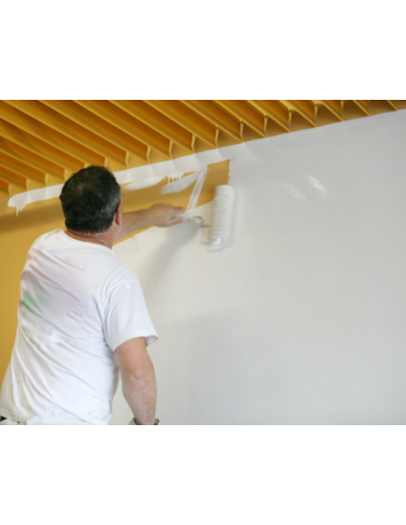 DILUANT SALISTOP : pour peinture Depro Salistop