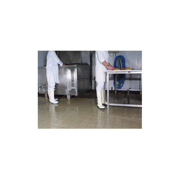 DEPRO SOLAGRIP : antidérapant pour sols glissants