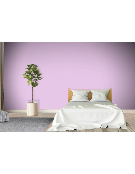 ACRYLIS COLOR : Peinture acrylique murs et plafonds - Qualité professionnelle