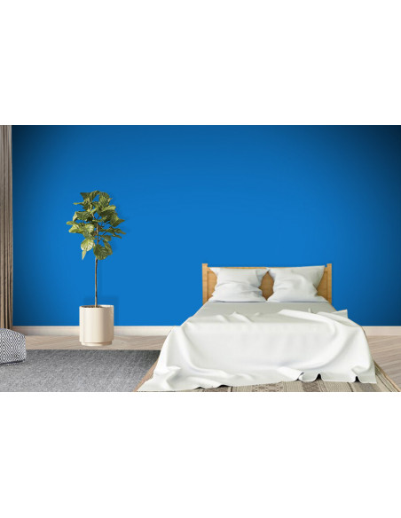 ACRYLIS COLOR : Peinture acrylique murs et plafonds - Qualité professionnelle