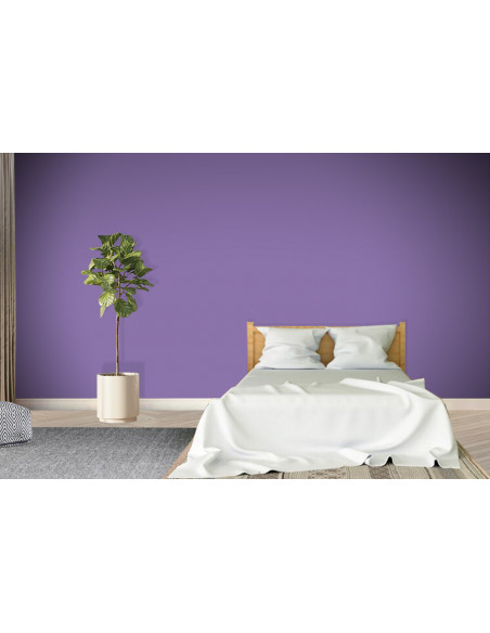 ACRYLIS COLOR : Peinture acrylique murs et plafonds - Qualité professionnelle
