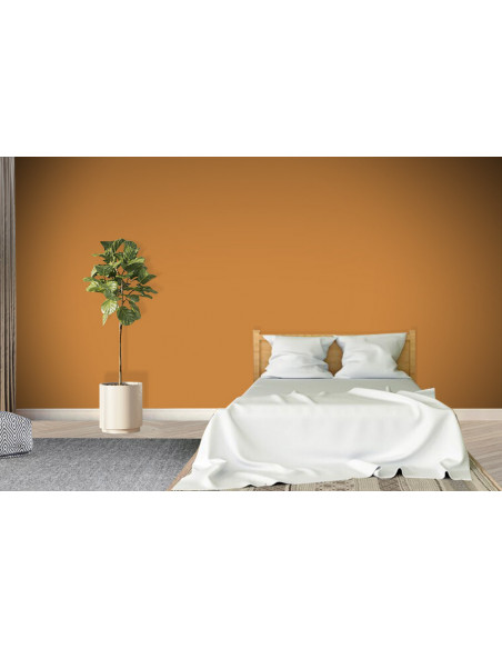 ACRYLIS COLOR : Peinture acrylique murs et plafonds - Qualité professionnelle