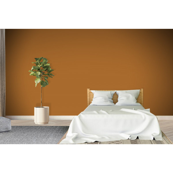 ACRYLIS COLOR : Peinture acrylique murs et...