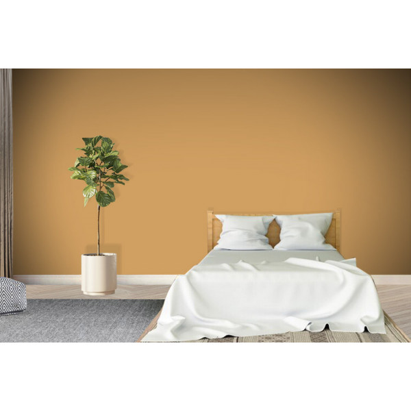 ACRYLIS COLOR : Peinture acrylique murs et...