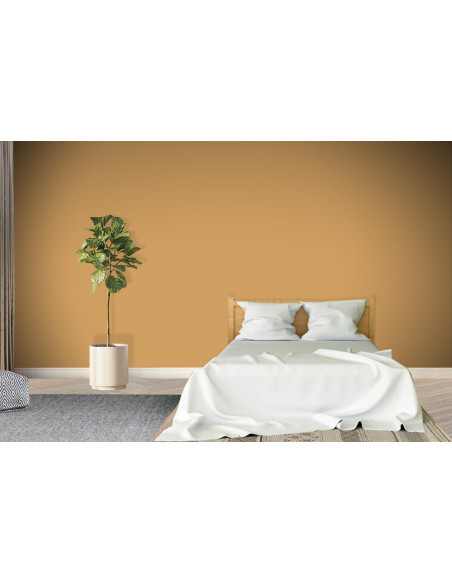 ACRYLIS COLOR : Peinture acrylique murs et plafonds - Qualité professionnelle