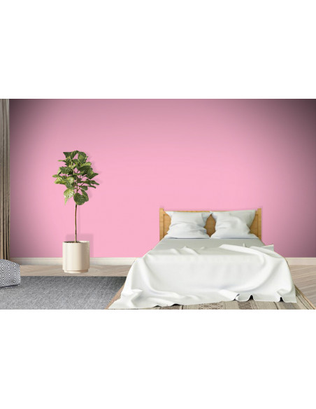 ACRYLIS COLOR : Peinture acrylique murs et plafonds - Qualité professionnelle