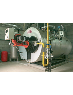 Chaudière industrielle