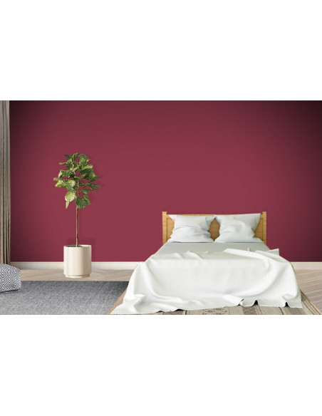 ACRYLIS COLOR : Peinture acrylique murs et plafonds - Qualité professionnelle