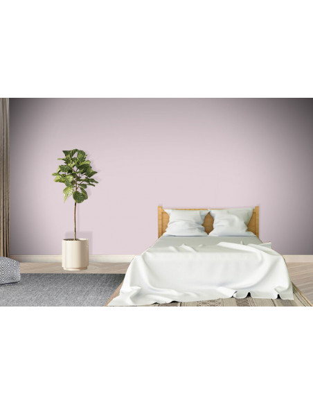ACRYLIS COLOR : Peinture acrylique murs et plafonds - Qualité professionnelle