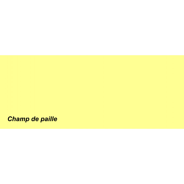 ACRYLIS COLOR : Peinture acrylique murs et...