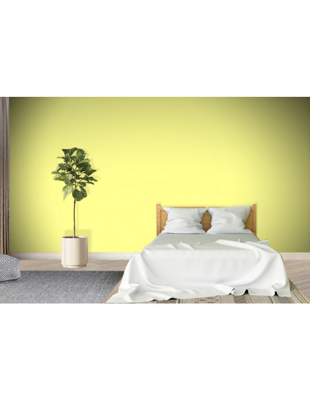 ACRYLIS COLOR : Peinture acrylique murs et plafonds - Qualité professionnelle