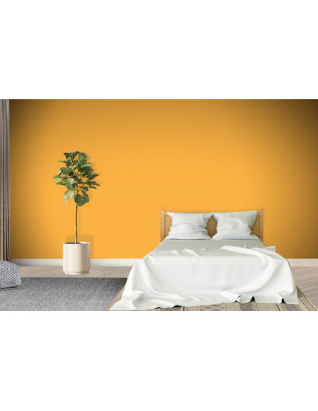 ACRYLIS COLOR : Peinture acrylique murs et plafonds - Qualité professionnelle
