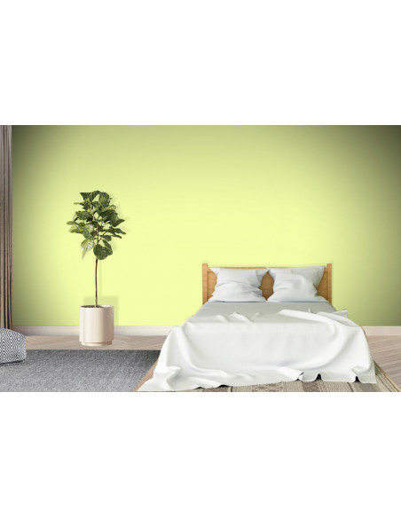 ACRYLIS COLOR : Peinture acrylique murs et plafonds - Qualité professionnelle