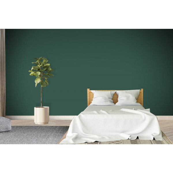 ACRYLIS COLOR : Peinture acrylique murs et...