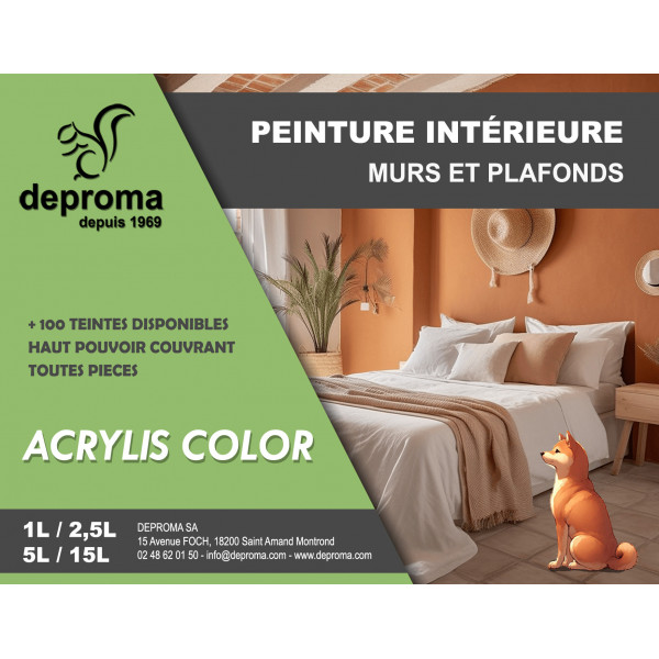 ACRYLIS COLOR : Peinture acrylique murs et...