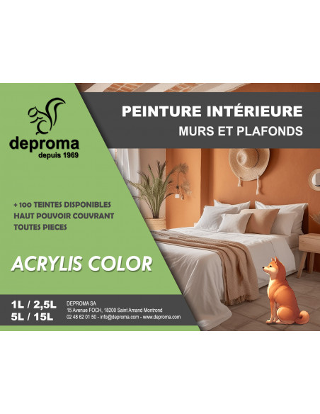 ACRYLIS COLOR : Peinture acrylique murs et plafonds - Qualité professionnelle